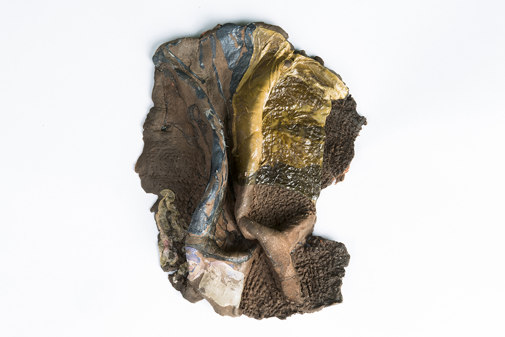 Transitory contemplation, The sculpture is made with das that is taking the shape of a clump of earth viewed from above. The emulsion lift of the polaroid represents the marksman leaves in nature. The contact between the das
