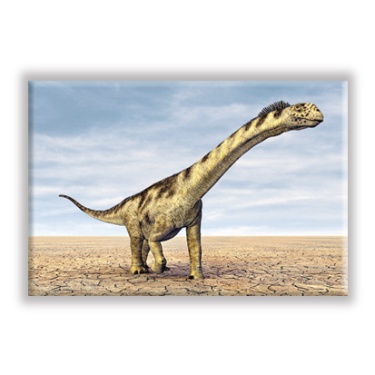 Magneti Dinosauri | Dinosaurs magnets