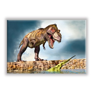 Tyrannosaurus Rex
MAG_DIN_277